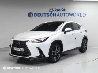 경기 수원 렉서스 NX 력셔리 수입중고차